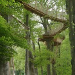 Allée vue sur cabane champêtre