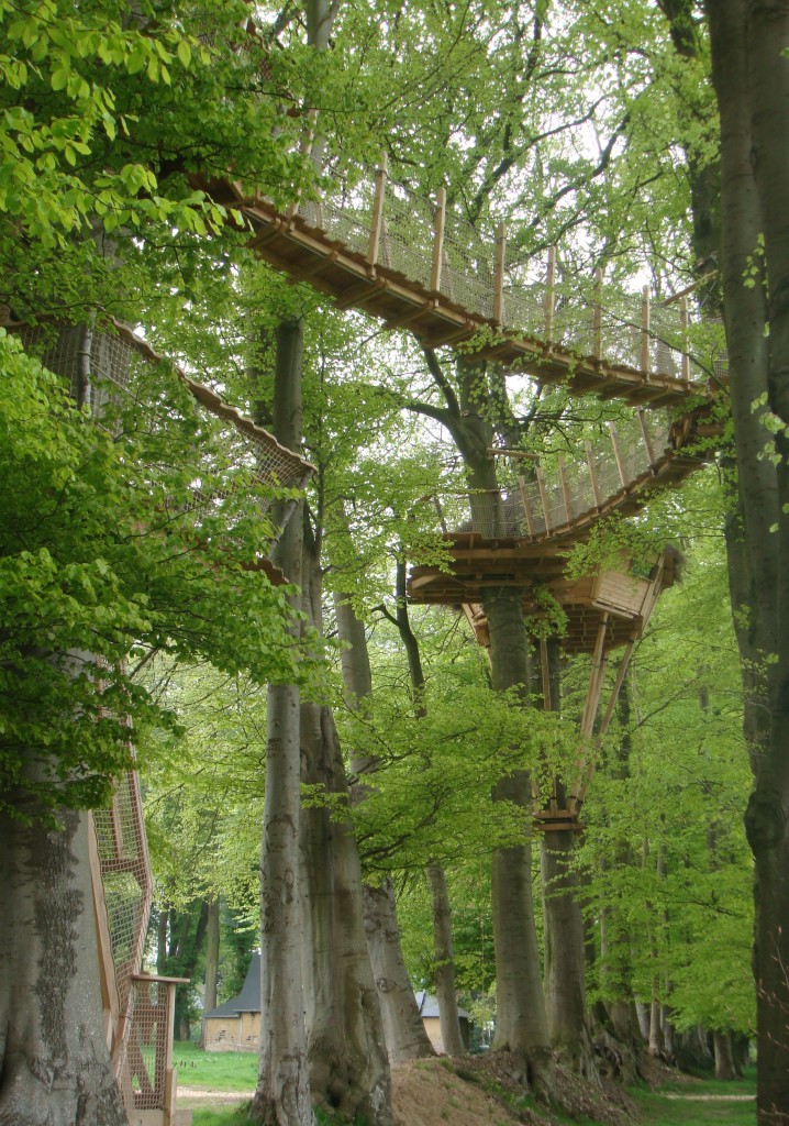 Allée vue sur cabane champêtre