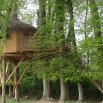 Cabane de la ferme en feuilles