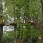 Cabane des sous bois vue de profil début de feuilles