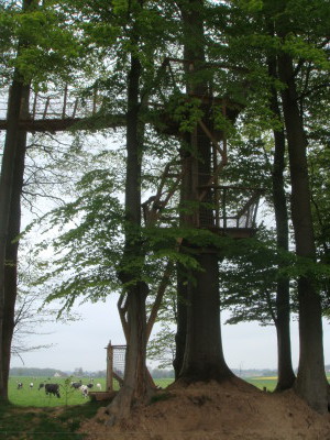 L’accès de cette cabane dans les arbres débute par une échelle inclinée qui débouche sur une plateforme intermédiaire. Il faudra grimper à une seconde échelle droite afin de pouvoir atteindre les passerelles. Un vrai parcours du combattant vous attend!