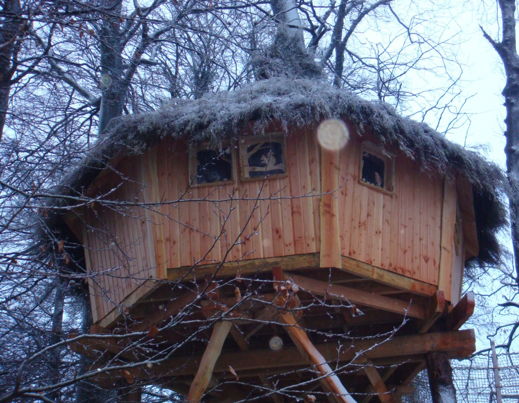 cabane des sous bois sous la neige