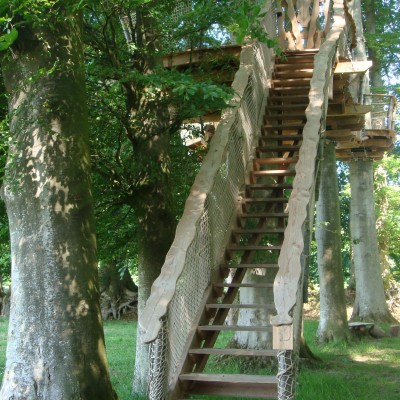 escalier droit cabane des sous bois ensoleillé